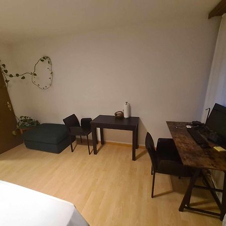 Cozy Apartment In Zuerich City Extérieur photo