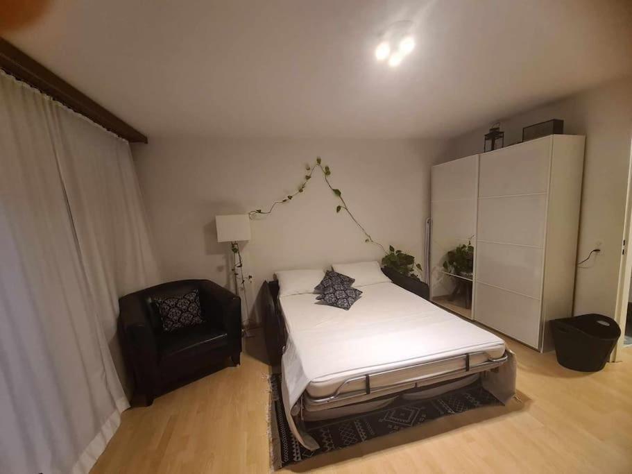 Cozy Apartment In Zuerich City Extérieur photo